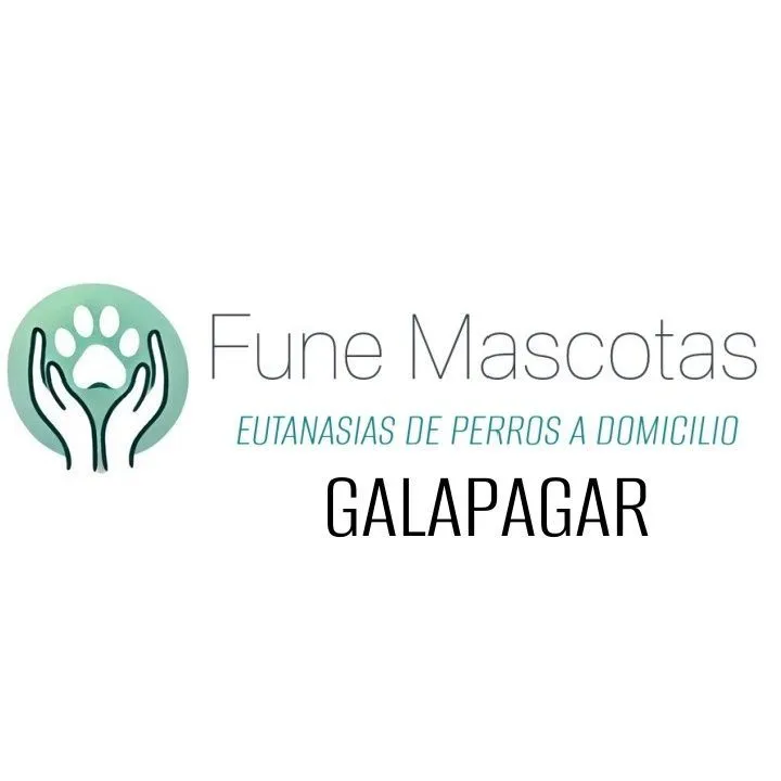fune mascotas eutanasias de perros a domicilio en galapagar