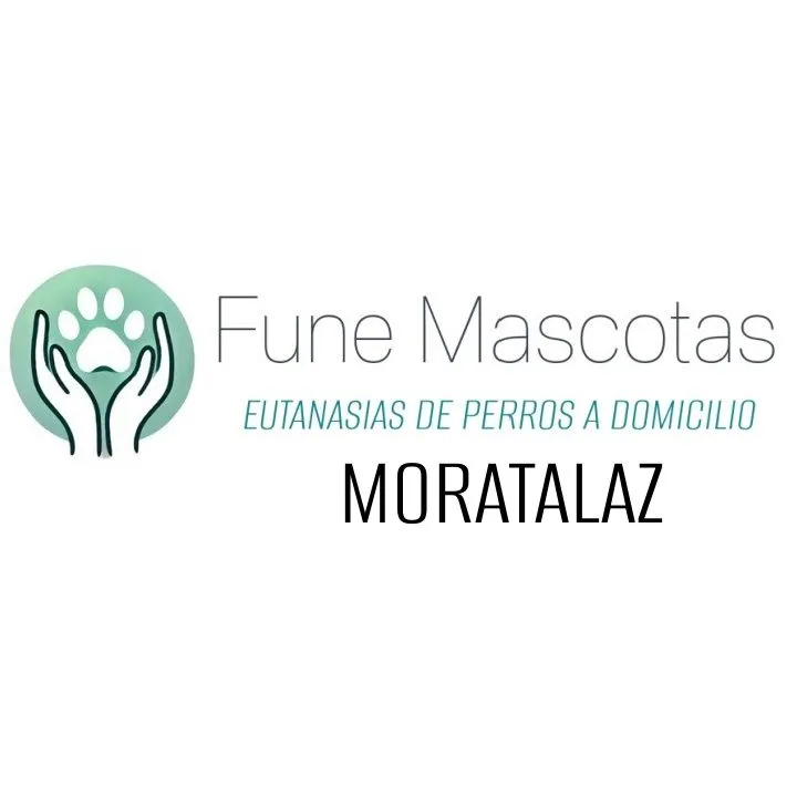 fune mascotas eutanasias de perros a domicilio en moratalaz