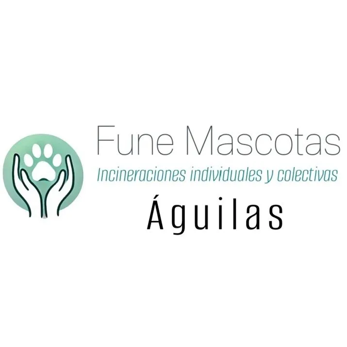 funemascotas aguilas