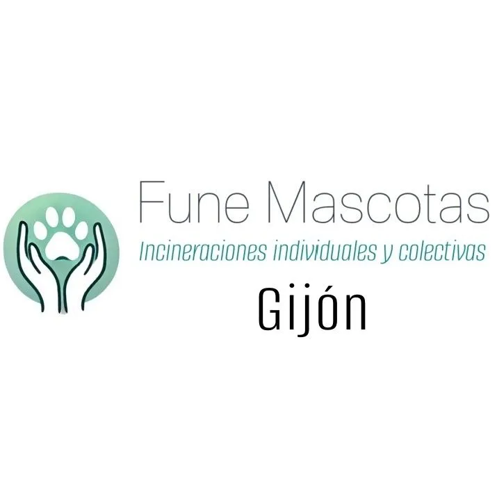 funemascotas gijon