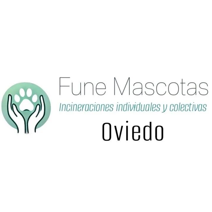 funemascotas oviedo