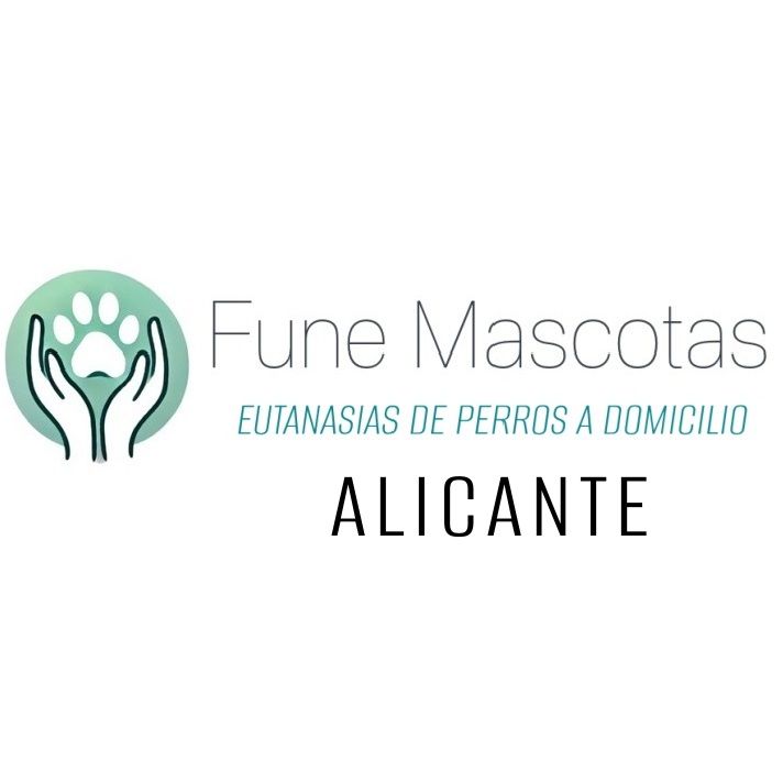 eutanasia-perros-gatos-a-domicilio-alicante