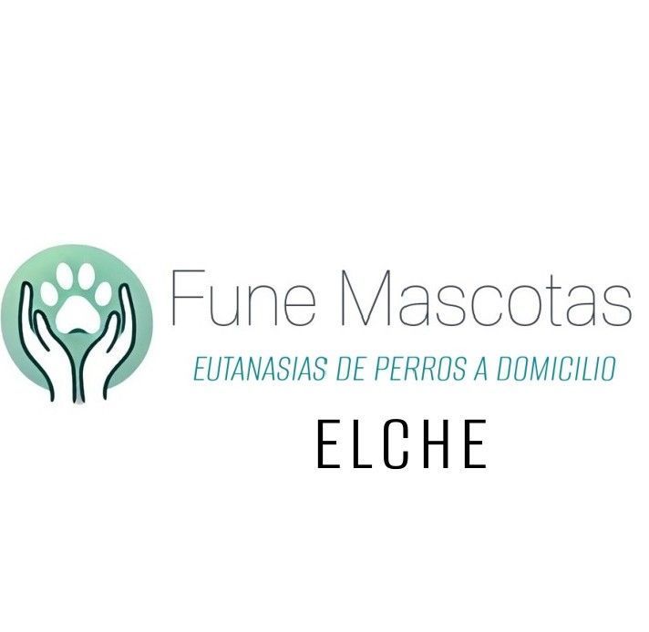 eutanasias mascotas a domicilio elche fune mascotas