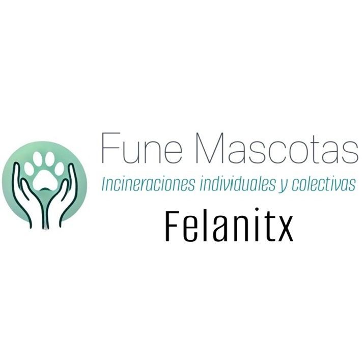 funemascotas felanitx